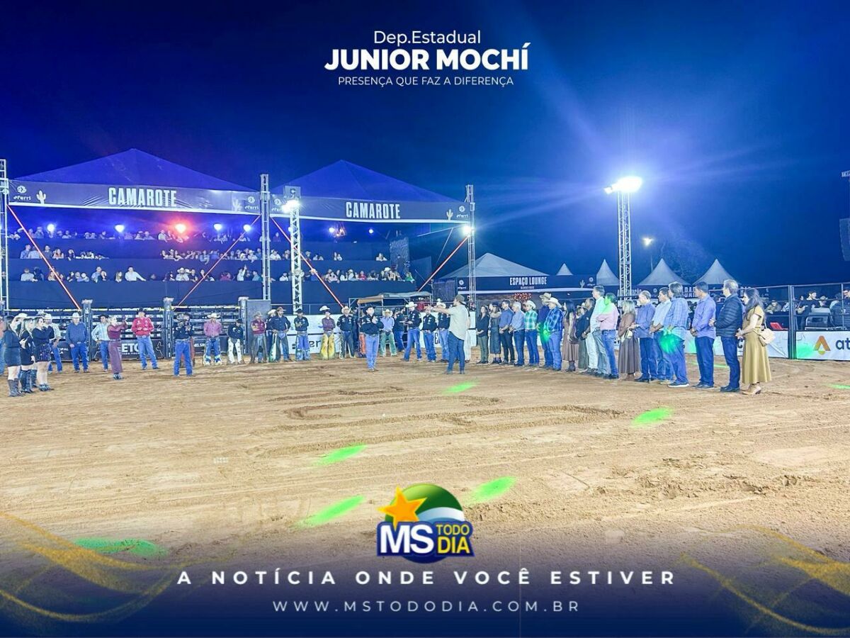Imagem da Galeria